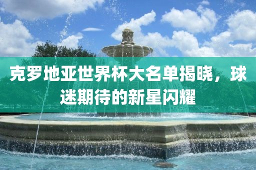 克罗地亚世界杯大名单揭晓，球迷期待的新星闪耀