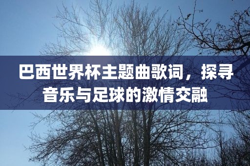 巴西世界杯主题曲歌词，探寻音乐与足球的激情交融
