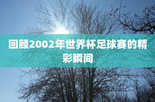 回顾2002年世界杯足球赛的精彩瞬间