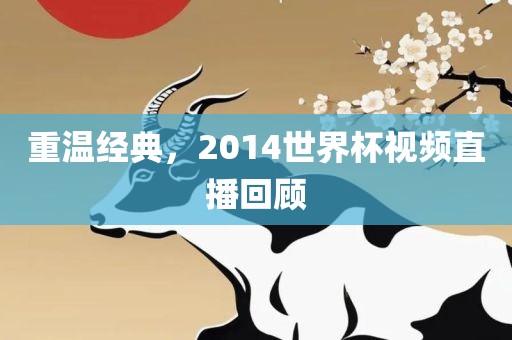 重温经典，2014世界杯视频直播回顾