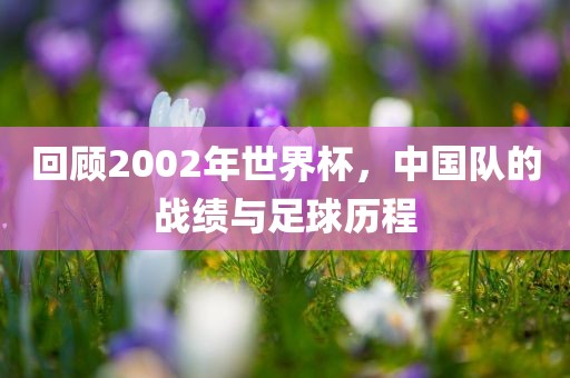 回顾2002年世界杯，中国队的战绩与足球历程