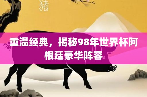 重温经典，揭秘98年世界杯阿根廷豪华阵容
