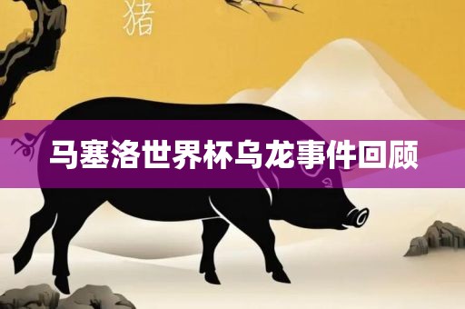 马塞洛世界杯乌龙事件回顾