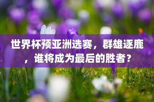 世界杯预亚洲选赛，群雄逐鹿，谁将成为最后的胜者？