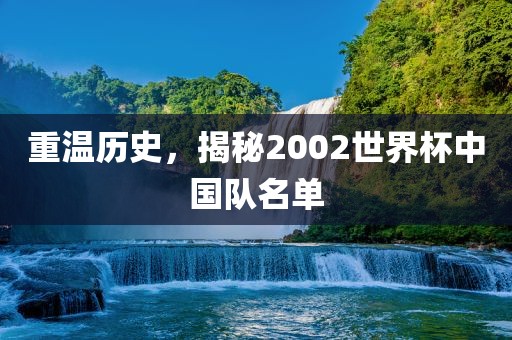 重温历史，揭秘2002世界杯中国队名单