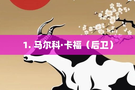 1. 马尔科·卡福（后卫）
