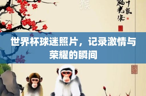 世界杯球迷照片，记录激情与荣耀的瞬间