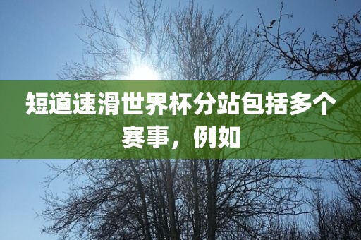 短道速滑世界杯分站包括多个赛事，例如