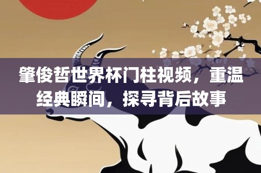 肇俊哲世界杯门柱视频，重温经典瞬间，探寻背后故事