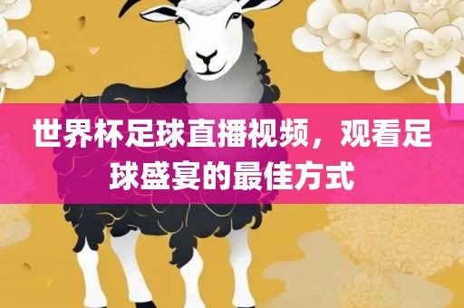 世界杯足球直播视频，观看足球盛宴的最佳方式