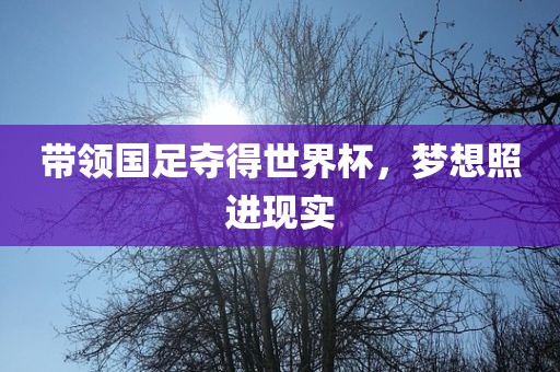 带领国足夺得世界杯，梦想照进现实