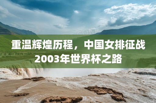 重温辉煌历程，中国女排征战2003年世界杯之路