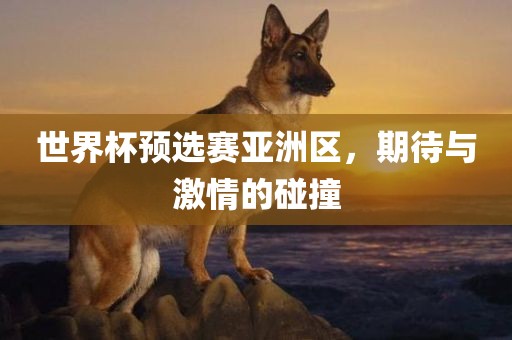 世界杯预选赛亚洲区，期待与激情的碰撞