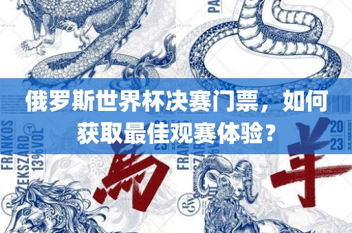 俄罗斯世界杯决赛门票，如何获取最佳观赛体验？