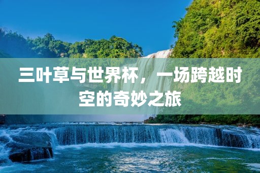 三叶草与世界杯，一场跨越时空的奇妙之旅