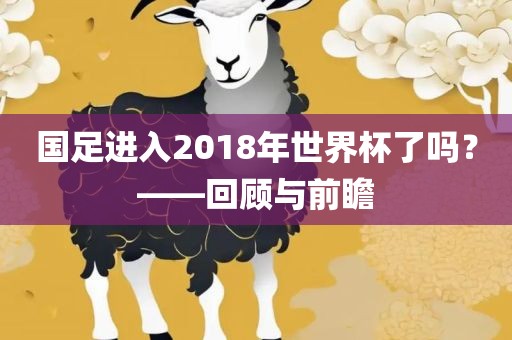 国足进入2018年世界杯了吗？——回顾与前瞻