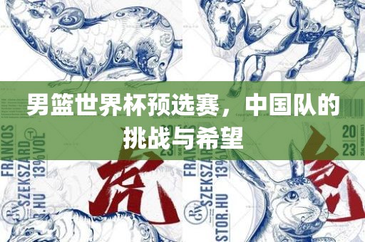 男篮世界杯预选赛，中国队的挑战与希望