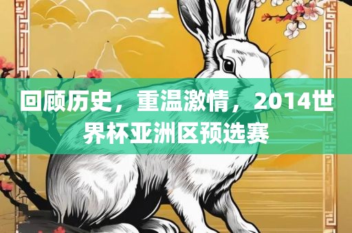 回顾历史，重温激情，2014世界杯亚洲区预选赛