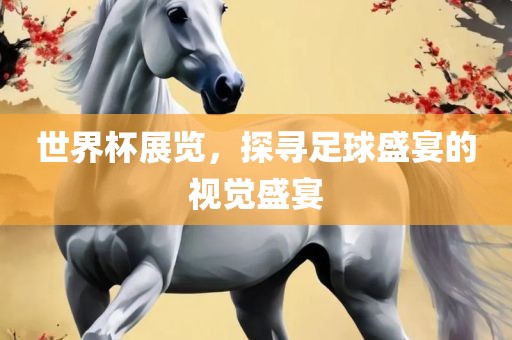 世界杯展览，探寻足球盛宴的视觉盛宴