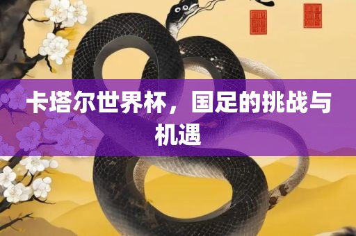 卡塔尔世界杯，国足的挑战与机遇