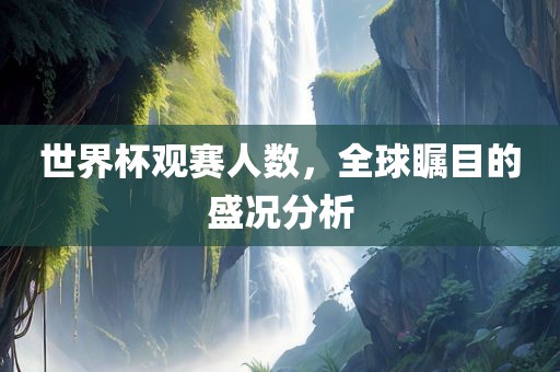 世界杯观赛人数，全球瞩目的盛况分析