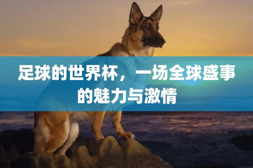 足球的世界杯，一场全球盛事的魅力与激情