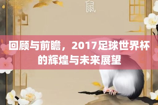 回顾与前瞻，2017足球世界杯的辉煌与未来展望
