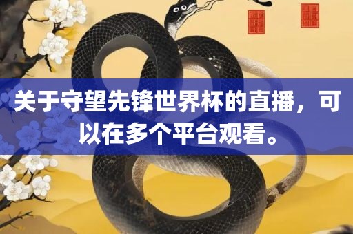 关于守望先锋世界杯的直播，可以在多个平台观看。