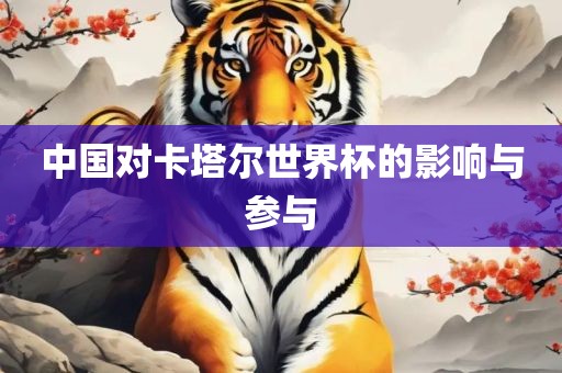 中国对卡塔尔世界杯的影响与参与