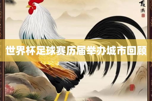 世界杯足球赛历届举办城市回顾