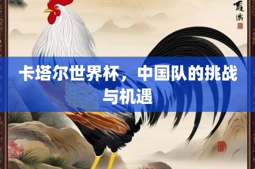 卡塔尔世界杯，中国队的挑战与机遇