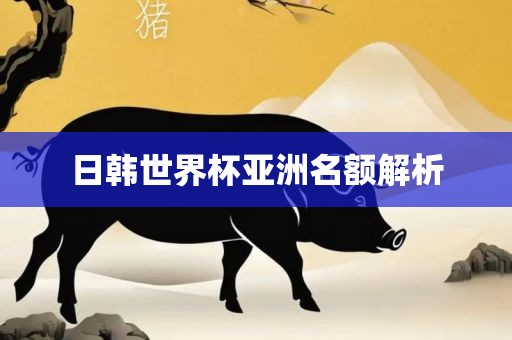 日韩世界杯亚洲名额解析