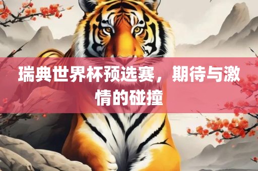 瑞典世界杯预选赛，期待与激情的碰撞