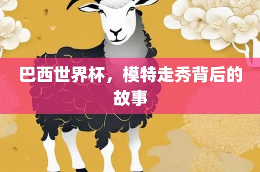 巴西世界杯，模特走秀背后的故事