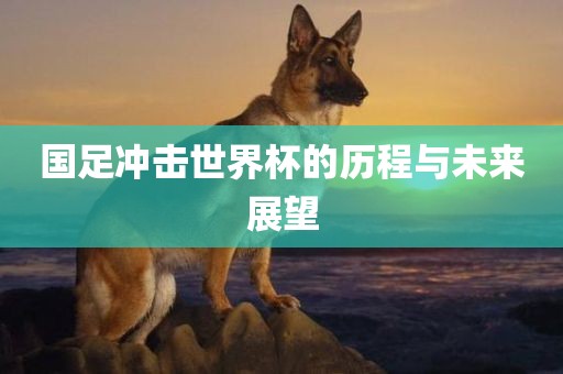 国足冲击世界杯的历程与未来展望