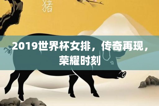 2019世界杯女排，传奇再现，荣耀时刻