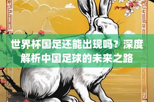 世界杯国足还能出现吗？深度解析中国足球的未来之路