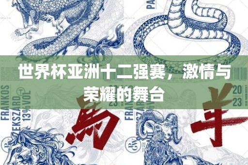 世界杯亚洲十二强赛，激情与荣耀的舞台