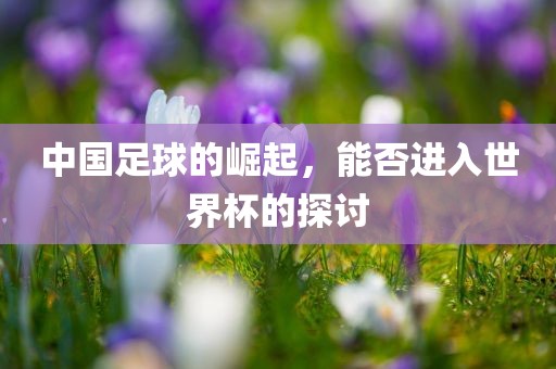中国足球的崛起，能否进入世界杯的探讨
