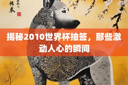 揭秘2010世界杯抽签，那些激动人心的瞬间