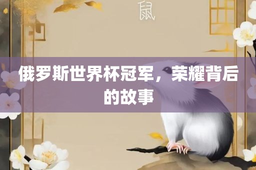 俄罗斯世界杯冠军，荣耀背后的故事