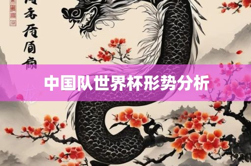 中国队世界杯形势分析