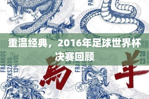 重温经典，2016年足球世界杯决赛回顾