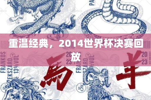 重温经典，2014世界杯决赛回放