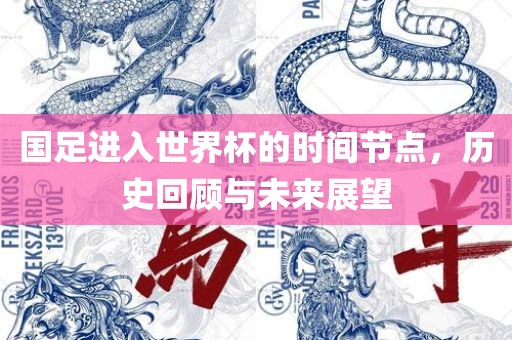国足进入世界杯的时间节点，历史回顾与未来展望