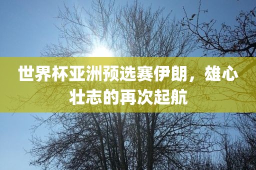 世界杯亚洲预选赛伊朗，雄心壮志的再次起航