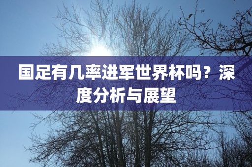 国足有几率进军世界杯吗？深度分析与展望