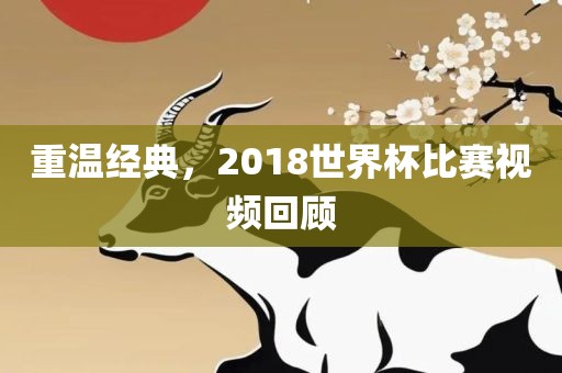 重温经典，2018世界杯比赛视频回顾