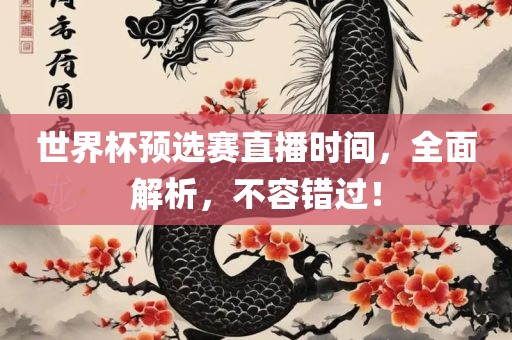 世界杯预选赛直播时间，全面解析，不容错过！