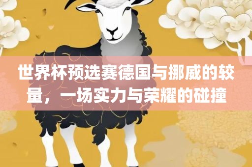 世界杯预选赛德国与挪威的较量，一场实力与荣耀的碰撞